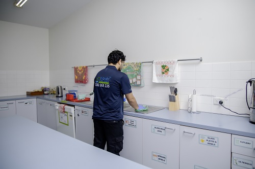 sydney house cleaner