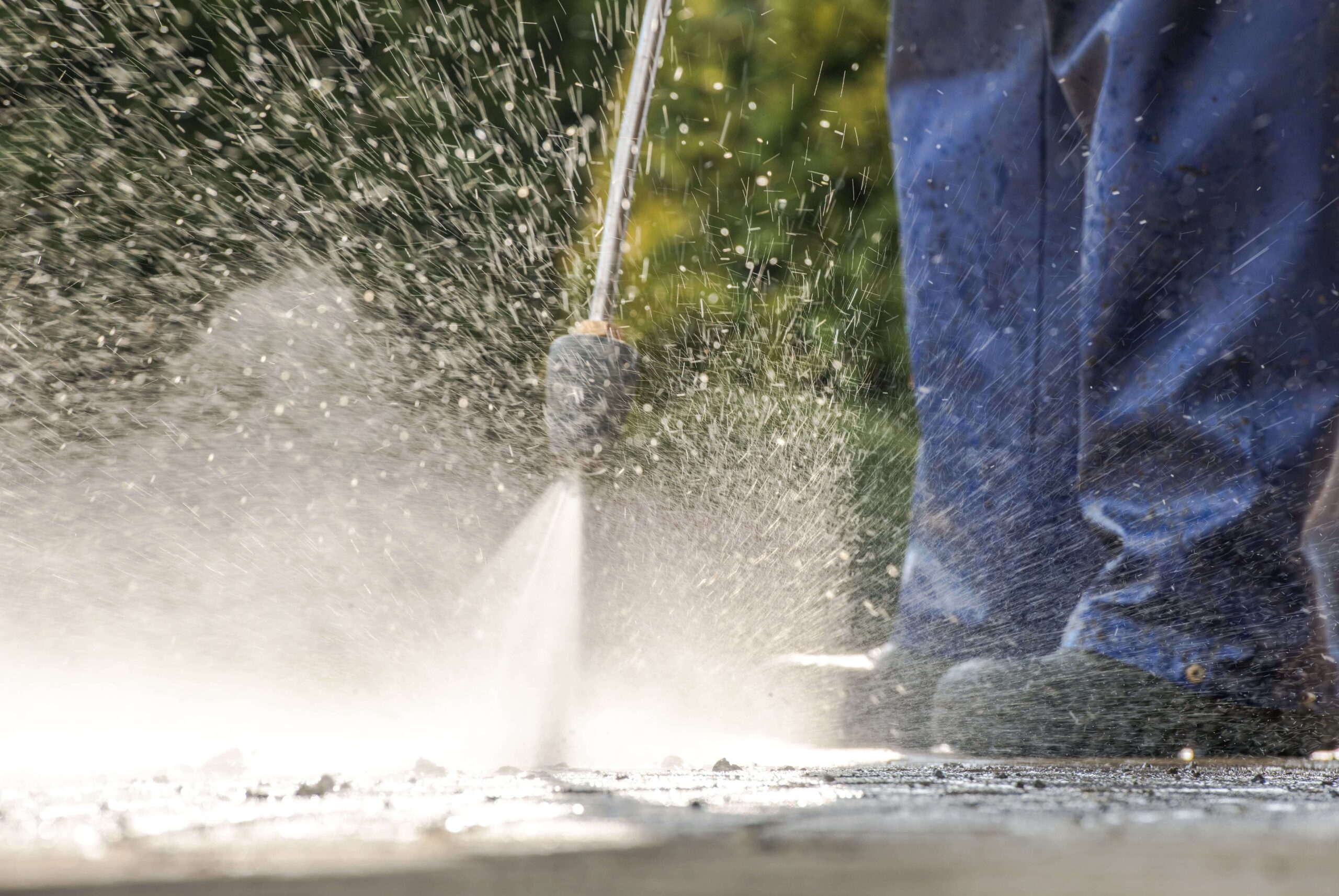 pest control service sydney