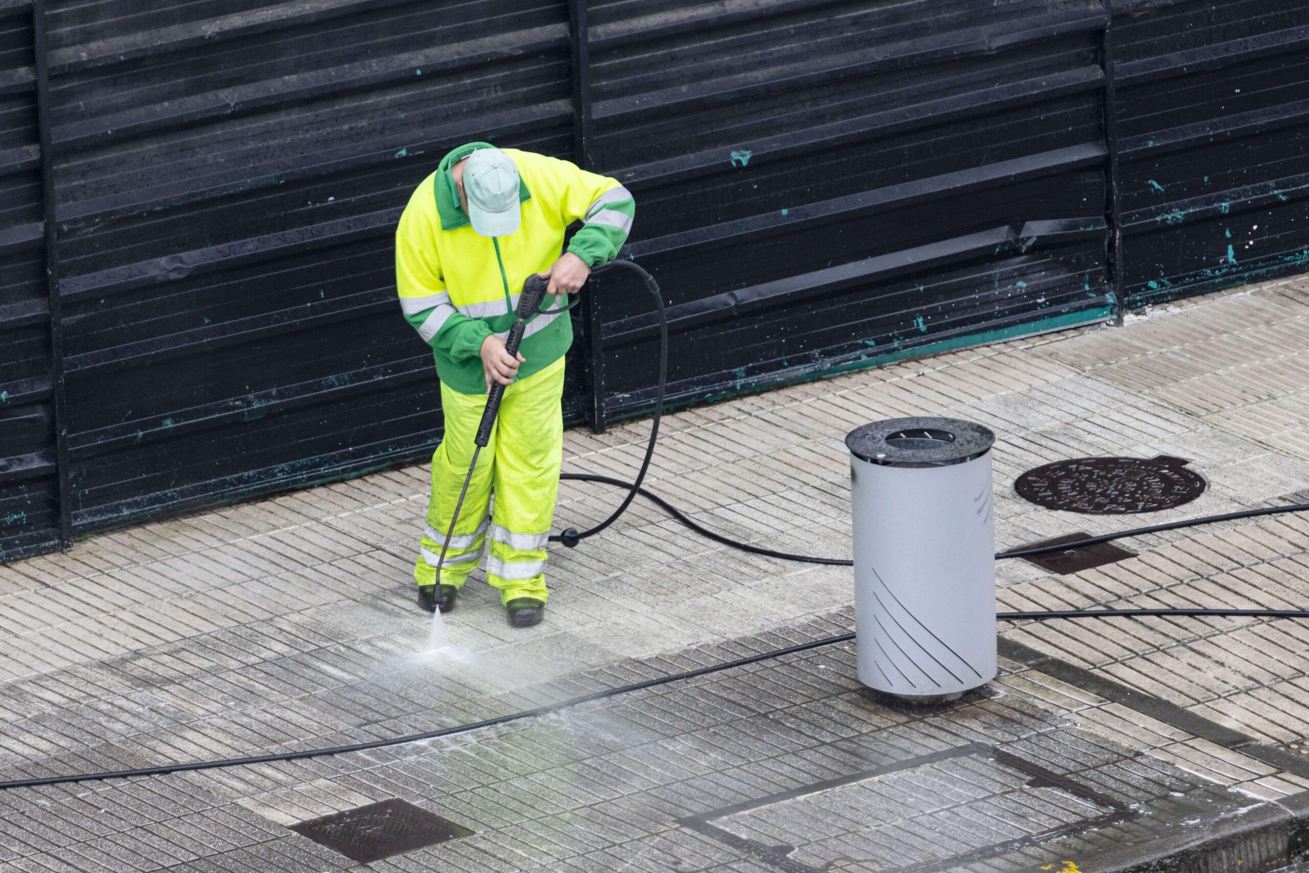 pest control sydney